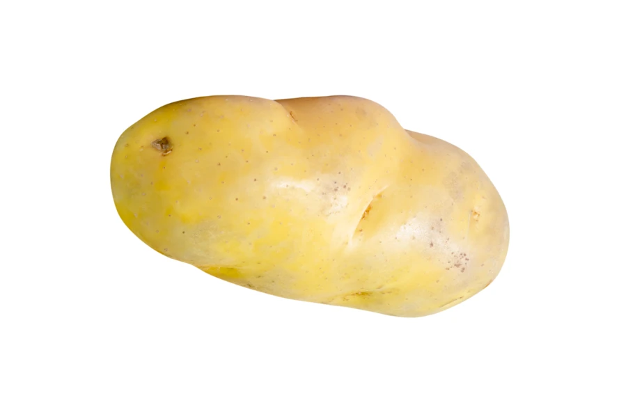 Single raw yellow potato isolated on white background