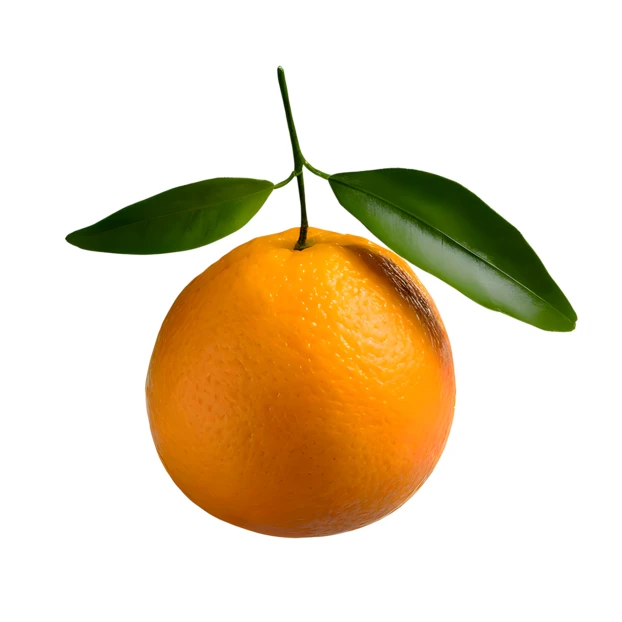 Single whole orange with green leaves isolated on white background