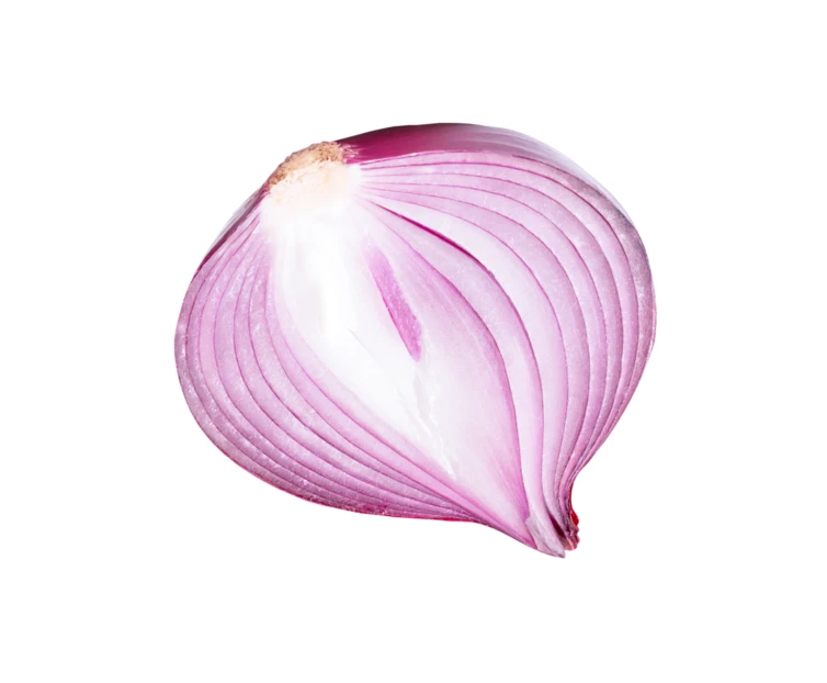 Half of a fresh red onion isolated on white background