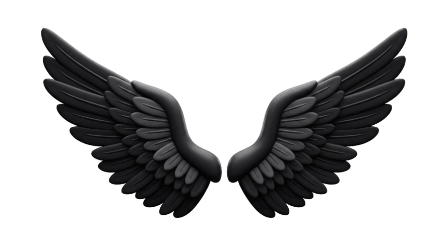 Pair of black 3D wings isolated on white background