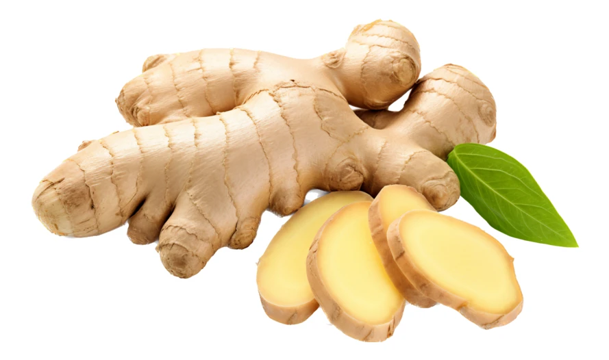 Fresh ginger root and slices isolated on white background