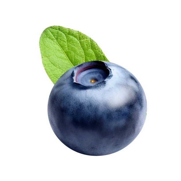 Single fresh blueberry with leaf isolated on white background