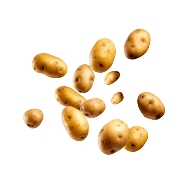 Group of flying raw potatoes isolated on white background