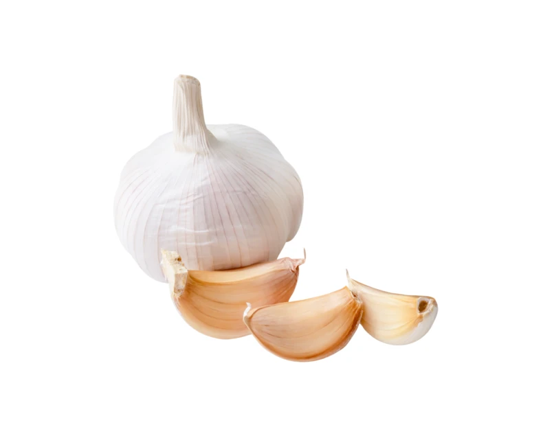 Whole garlic bulb and cloves isolated on white background