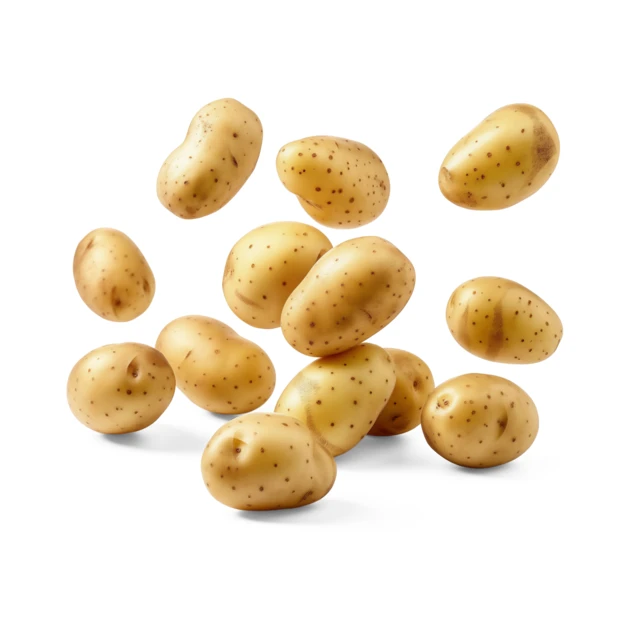 Falling and flying raw baby potatoes on white background