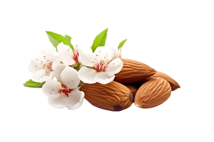 Almond nuts with blossoms and green leaves on white background