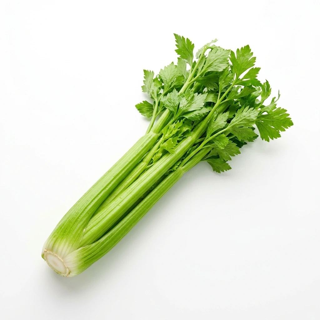Fresh bunch of green celery with leaves on white background