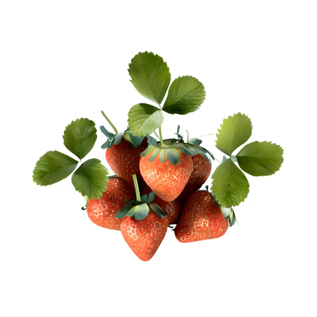 Fresh red strawberries with green leaves on white background