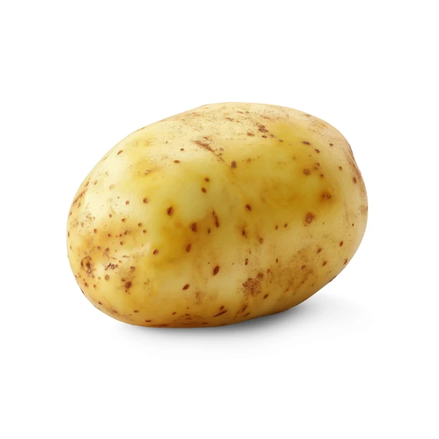 Single raw potato isolated on white background
