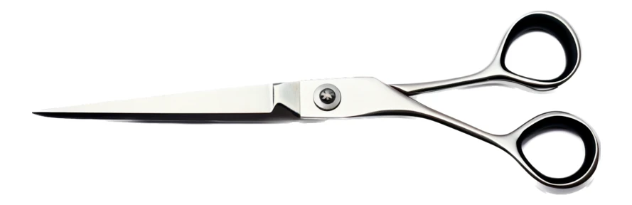 Professional stainless steel hairdressing scissors on white background