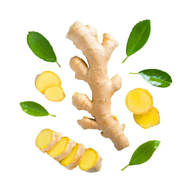 Fresh ginger root and slices with green leaves on white