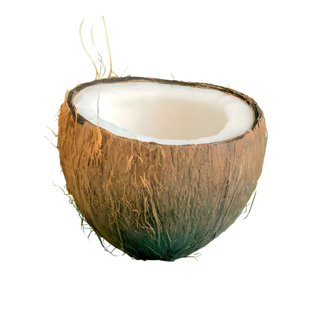 Fresh halved coconut with white meat isolated on white