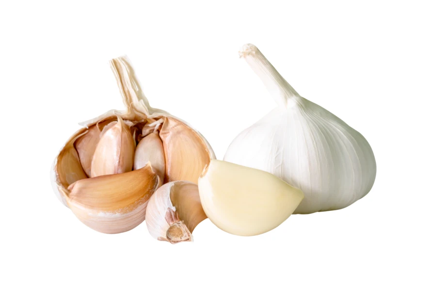 Fresh garlic bulb and cloves isolated on white background