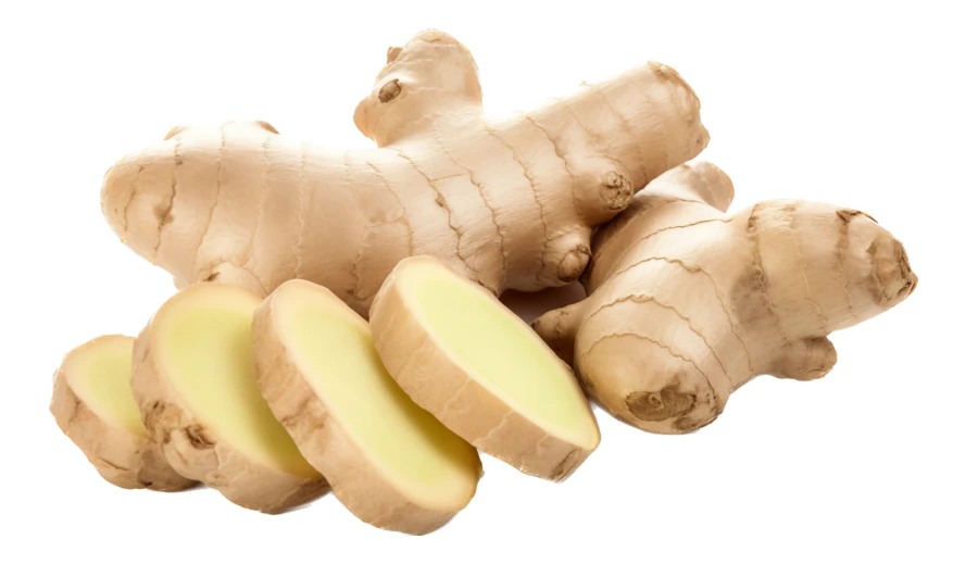 Fresh ginger root and slices on white background