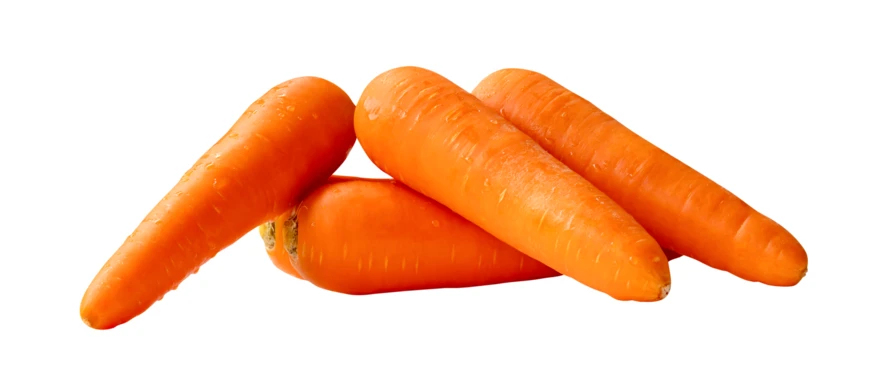 Fresh orange carrots isolated on white background