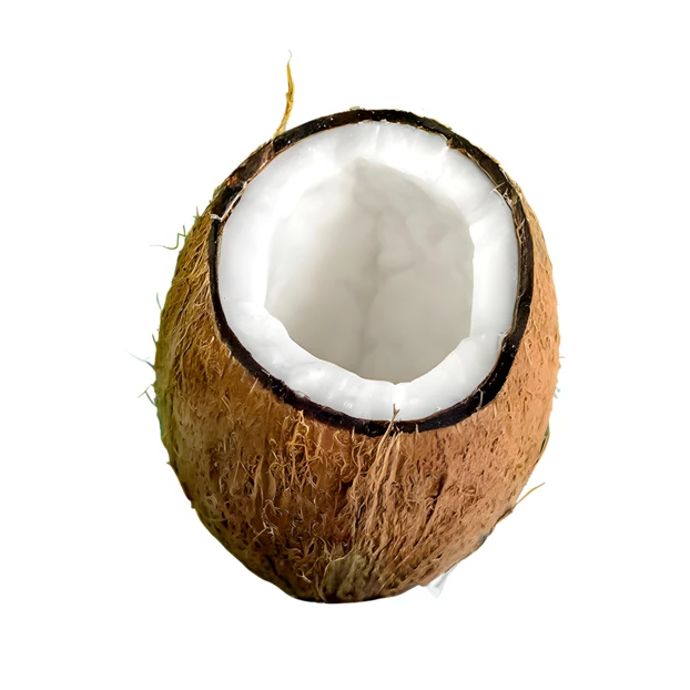 Fresh coconut cut open isolated on white background