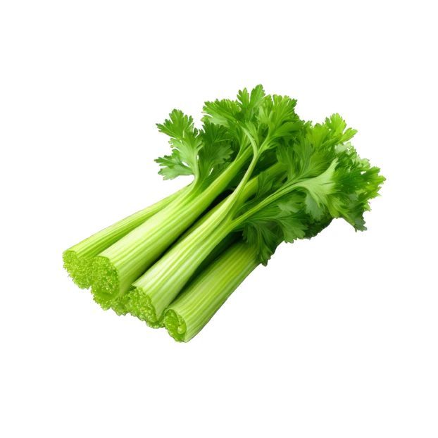 Fresh green celery stalks with leaves isolated on white