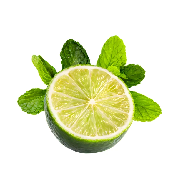Fresh lime half with mint leaves isolated on white background