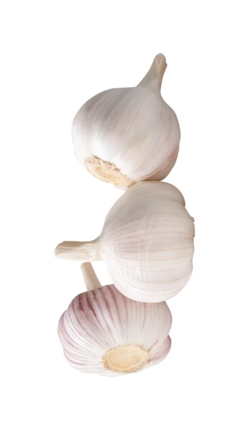 Three whole garlic bulbs isolated on white background