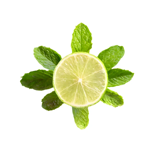 Fresh lime slice with mint leaves isolated on white background