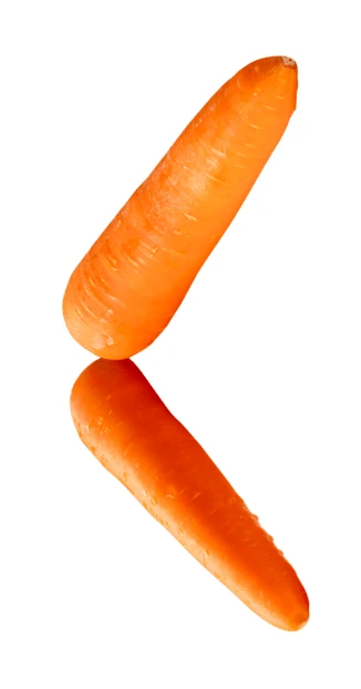 Two fresh carrots isolated on white background
